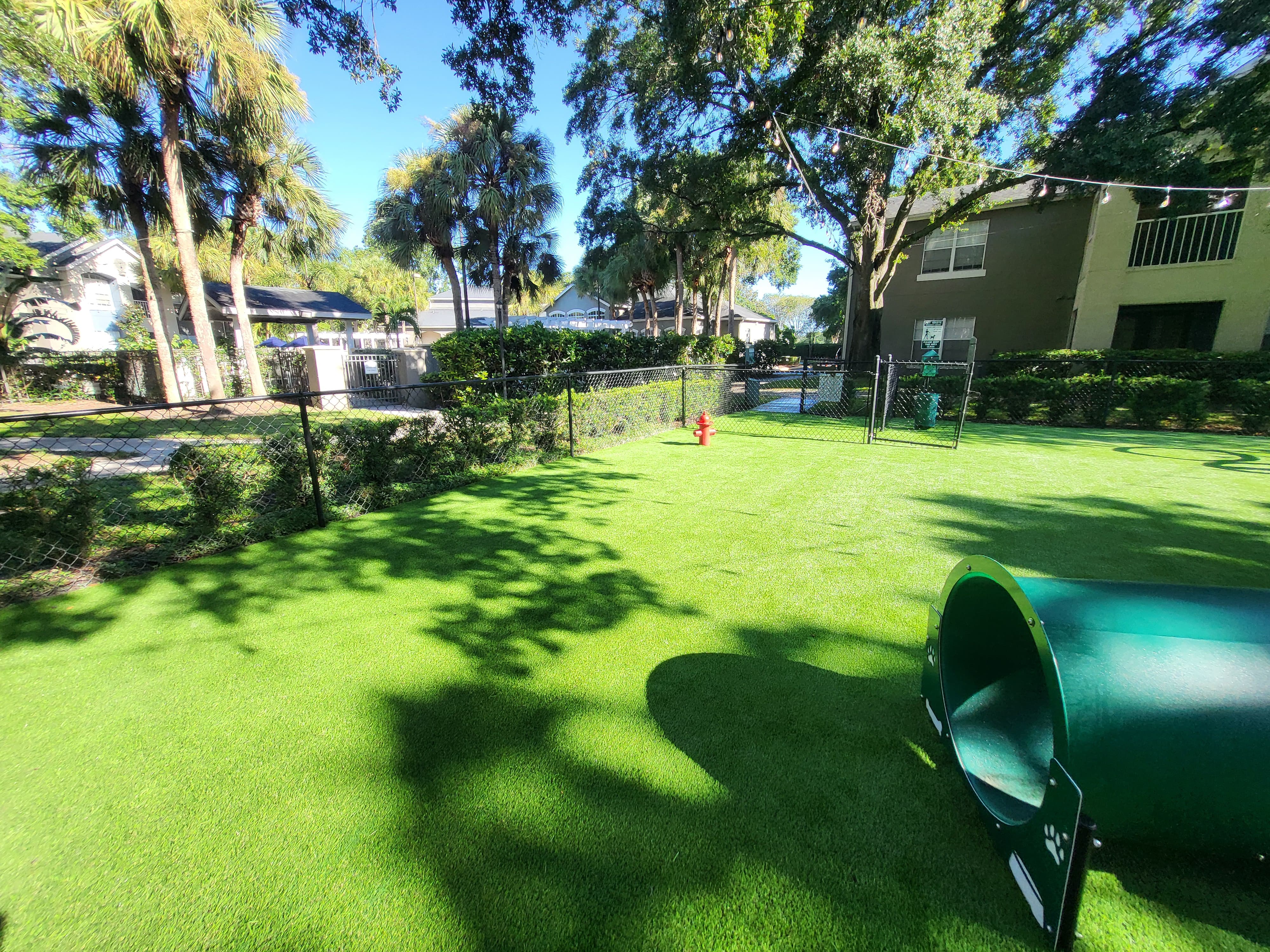 Open agility pet lawn