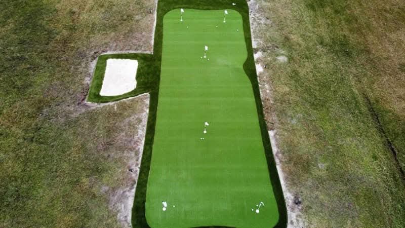 Multi-cup putting green install in backyard